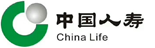 中国人寿：企业级报表系统